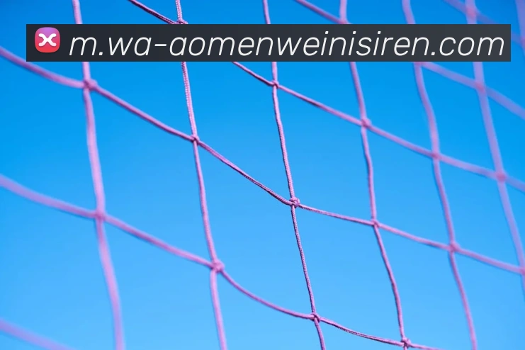 威尼斯人线上娱乐发展历程